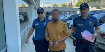 Kediye tekme atarken kameraya yansıyan şahıs yakalandı