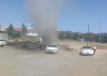 Bingöl’de aniden oluşan hortum paniğe neden oldu