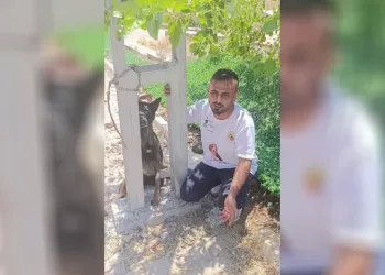 Belçika kurdunu zehirleyip direğe asarak telef ettiler