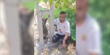Belçika kurdunu zehirleyip direğe asarak telef ettiler