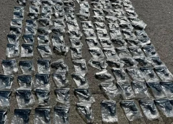 Tuzla’da durdurulan otobüsten cephanelik çıktı: 120 silah ele geçirildi