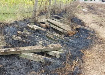 Samsun’da 92 yaşındaki kadın tarlada yanmış halde bulundu