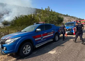 Elektrik direğinden çıkan kıvılcım orman yangınına sebep oldu