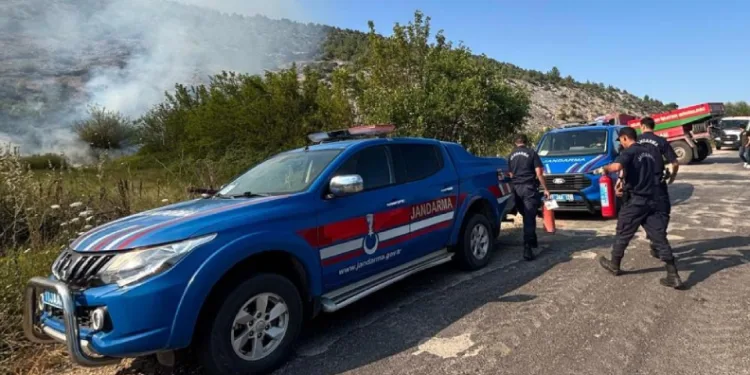 Elektrik direğinden çıkan kıvılcım orman yangınına sebep oldu