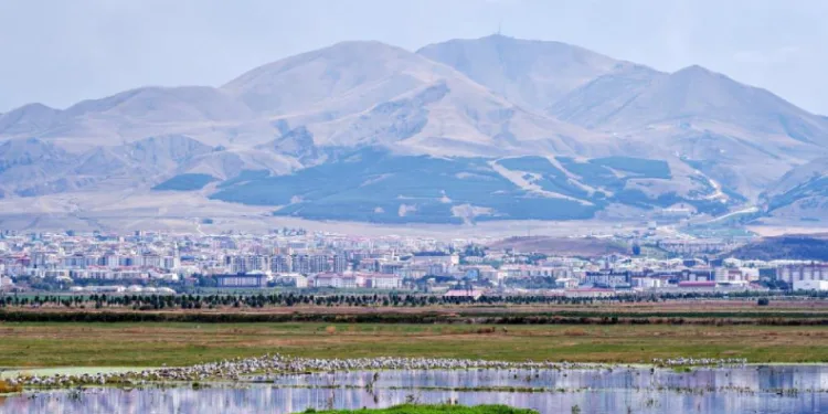 Amerika’nın Erzurum mesaisi: Yüzyıllık belge gün yüzüne çıktı