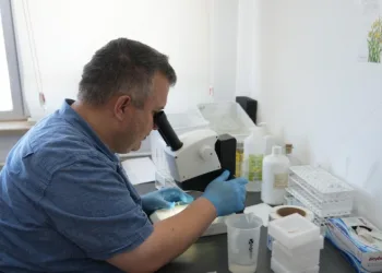 Uzmanından çekirge açıklaması: “1 ay içerisinde kaybolacaklardır”