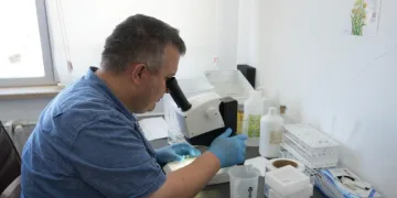 Uzmanından çekirge açıklaması: “1 ay içerisinde kaybolacaklardır”