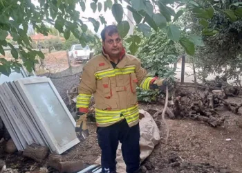 Hatay’da yerleşim alanlarında görülen yılanlar doğal yaşam alanına bırakıldı