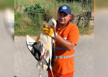 Temizlik personelinin duyarlılığı yaralı Leyleğe umut oldu