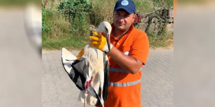 Temizlik personelinin duyarlılığı yaralı Leyleğe umut oldu