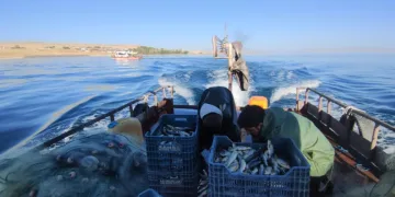 Van’da 90 günlük inci kefali av yasağı sona erdi