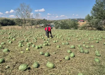 Süper hücre Tekirdağ’ı vurdu: 4 köy zarar gördü
