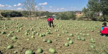 Süper hücre Tekirdağ’ı vurdu: 4 köy zarar gördü