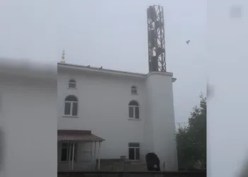 Güvercin yuvası minare yıkımını erteledi