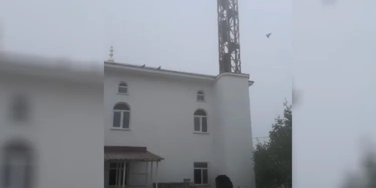 Güvercin yuvası minare yıkımını erteledi