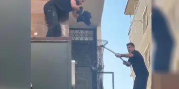 Batman’da metruk binada kilitli kalan 5 yavru kedi kurtarıldı