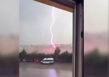 Tekirdağ’da palmiye ağacına yıldırım düştü, alev alev yandı