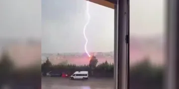 Tekirdağ’da palmiye ağacına yıldırım düştü, alev alev yandı