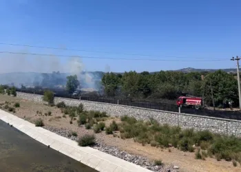 Ayvacık’ta otluk alanda çıkan yangın söndürüldü