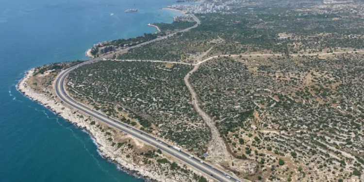 Tarihi 2 bin yıl geçmişe gidiyor: ‘Roma Yolu’ gün yüzüne çıktı