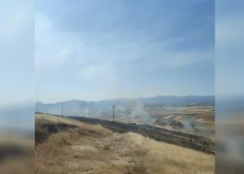 Elazığ’daki yangında 40 dönümlük arpa küle döndü