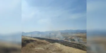 Elazığ’daki yangında 40 dönümlük arpa küle döndü