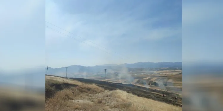 Elazığ’daki yangında 40 dönümlük arpa küle döndü