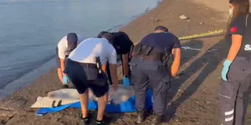 Marmaris’te denizde erkek cesedi bulundu