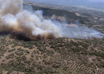 Yazıkent’te yangını büyüten rüzgar bugün de etkisini sürdürecek