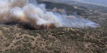 Yazıkent’te yangını büyüten rüzgar bugün de etkisini sürdürecek