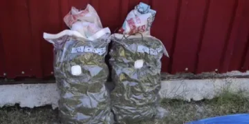 Osmaniye’de 31 kilo uyuşturucu ve 527 kök uyuşturucu ham maddesi ele geçirildi