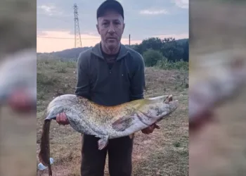 35 kiloluk yayın balığı yakaladı