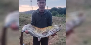 35 kiloluk yayın balığı yakaladı