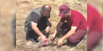 Emet’te alevlerin arasından kurtarılan kaplumbağa yürekleri ısıttı