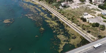 Seyhan Nehri kirliliğe teslim oldu, gönüllü genç sandalla temizliğe çıktı
