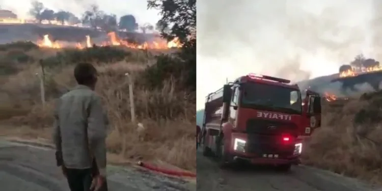 Kahta’da anız yangını köye kadar ulaştı
