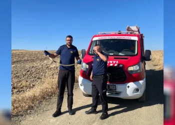 Kaymakamlık bahçesinde bulunan yılan doğaya bırakıldı
