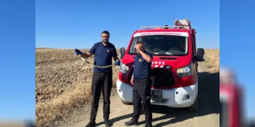 Kaymakamlık bahçesinde bulunan yılan doğaya bırakıldı