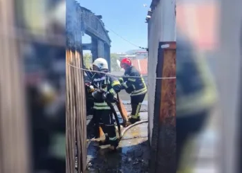 Osmaniye’de kümes yangınında 7 güvercin telef oldu, kuşların sahibi yaralandı