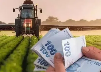Tarım-GFE yıllık yüzde 36,65 arttı