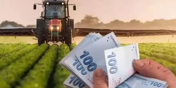 Tarım-GFE yıllık yüzde 36,65 arttı