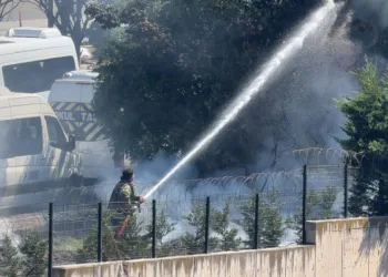 Ağaçlık alanda çıkan yangın büyümeden söndürüldü