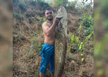 40 kiloluk dev yayın balığı yakalandı