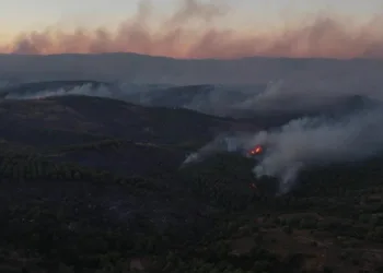 Tıfıllar Köyü’ndeki yangının boyutu gün ağırınca ortaya çıktı