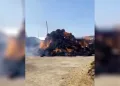 Iğdır’da ot balyaları alevlere teslim oldu