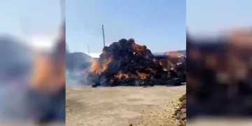 Iğdır’da ot balyaları alevlere teslim oldu
