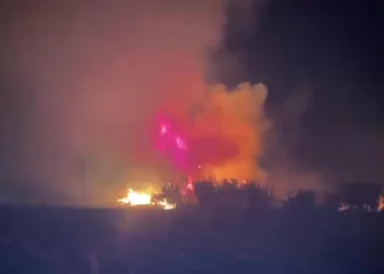 Serik’te çıkan orman yangınına ilk müdahaleyi vatandaşlar yaptı