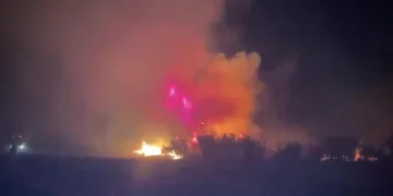 Serik’te çıkan orman yangınına ilk müdahaleyi vatandaşlar yaptı