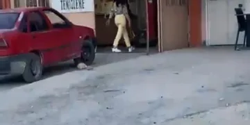 Çekiçli kadın öfkesini böyle kustu