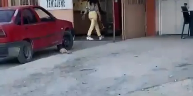 Çekiçli kadın öfkesini böyle kustu